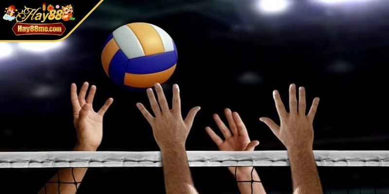 Tham gia vào hình thức này bạn nên biết cách nghiên cứu cẩn thận