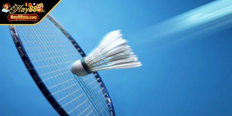 Cá cược cầu lông đang là hình thức giải trí hấp dẫn của nhiều game thủ